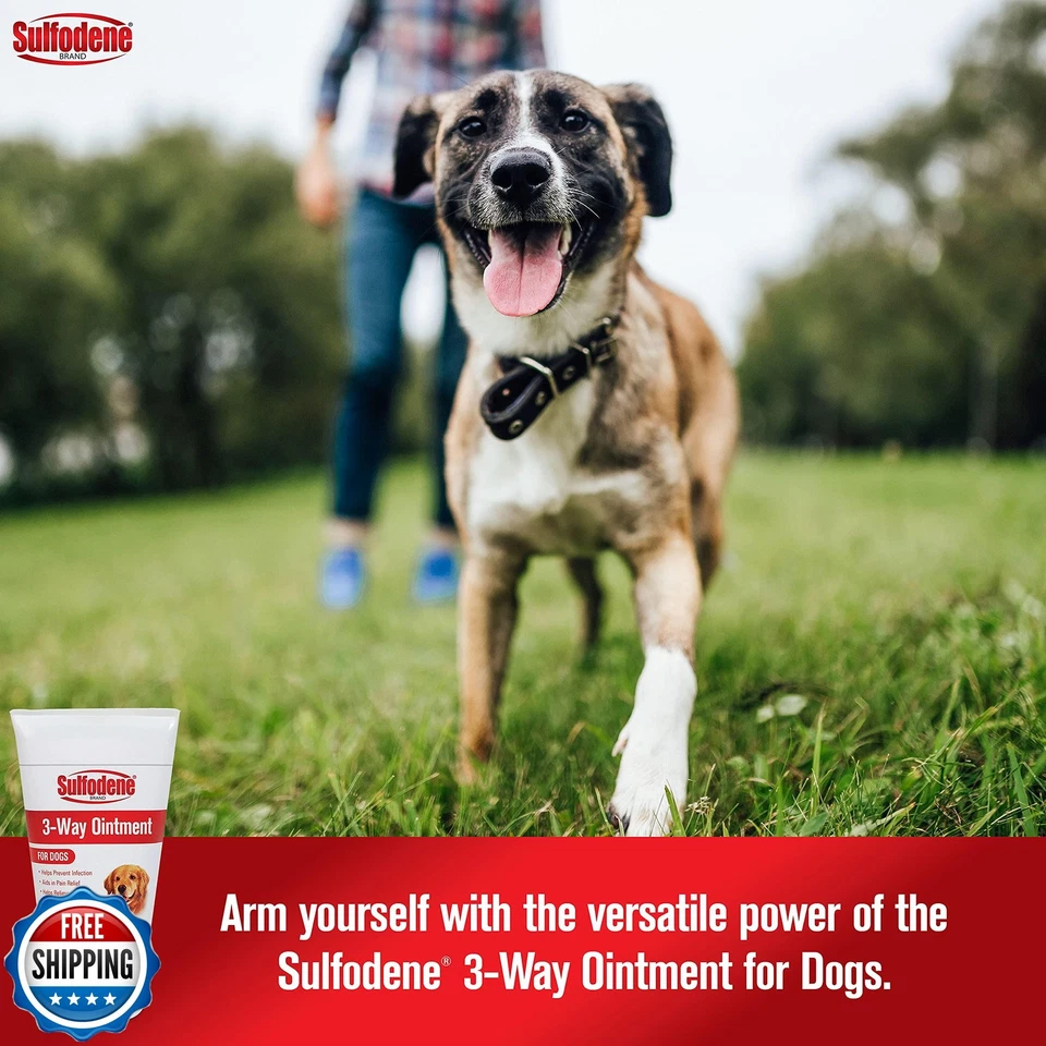 Sulfodene Dog Wound Care 3-Way Ointment, Relieves Pain and Prevents Infection - Image 2 of 4