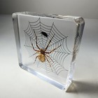 Picture 3 of 4