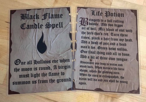 Juego de Cubierta de Libro de Hechizos Inspirado en Hocus Pocus PARA USAR con Planificador TUL/Arc (8 discos)- - Imagen 3 de 5