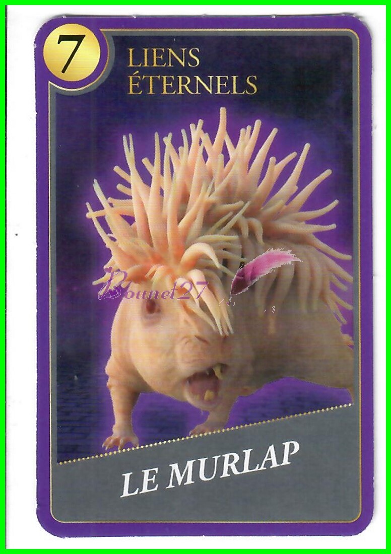 Carte HARRY POTTER ET ANIMAUX FANTASTIQUE Super U 2023 Moments Magiques au choix - Zdjęcie 70 z 79