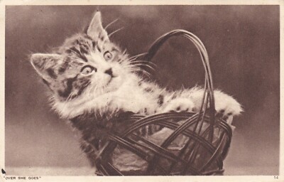 ANPC140) PC Over She Goes, a kitten in a basket, unused