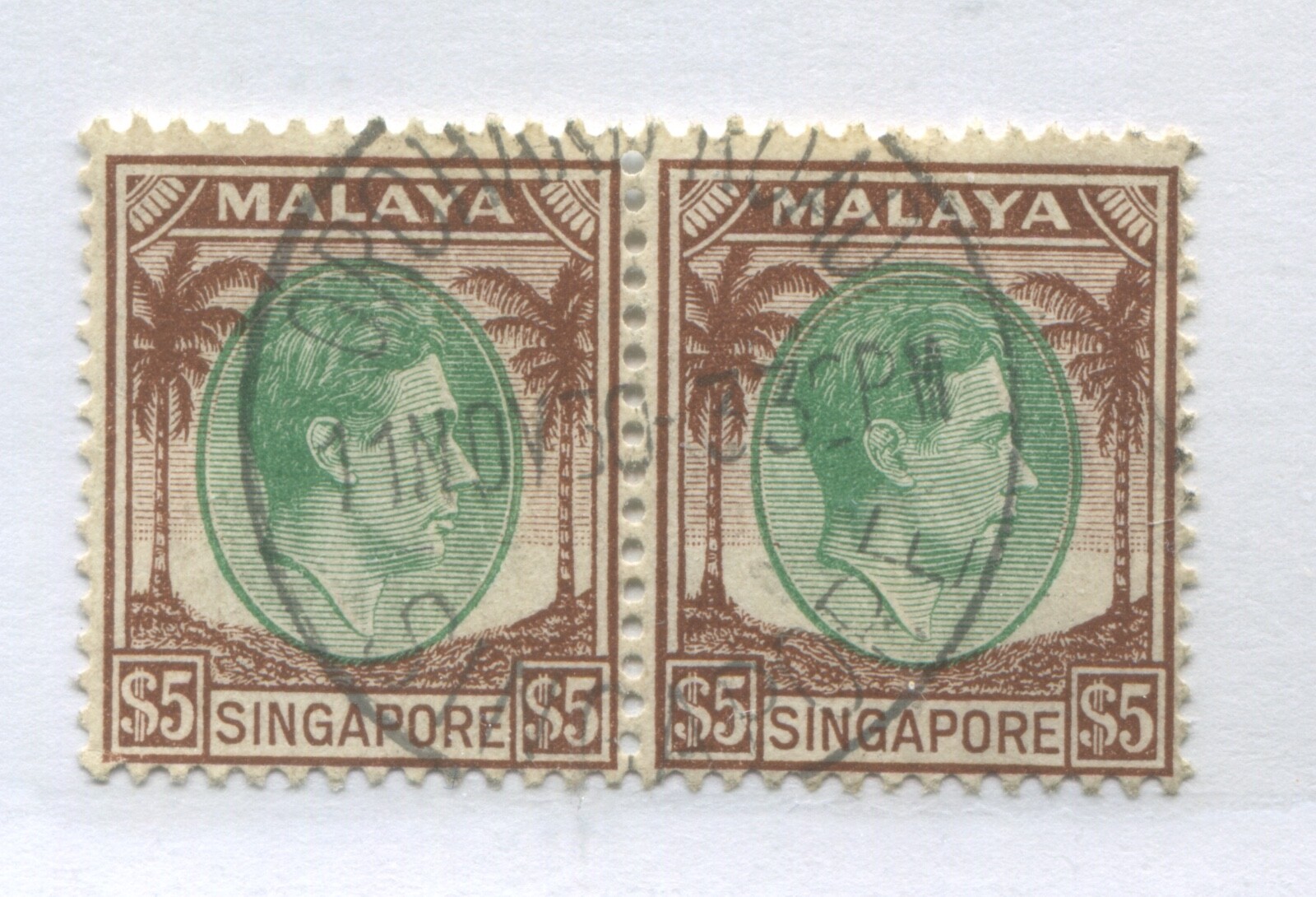 Foto 1 di 1