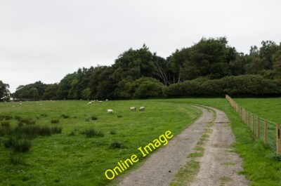 Foto 6x4 Auffahrt nach Llwyn-onn Llanddaniel Fab Auffahrt von Brynsiencyn c2013