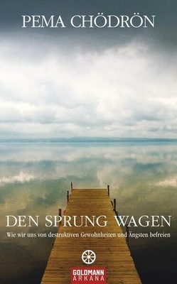 Den Sprung wagen Buch ARKANA Verlag