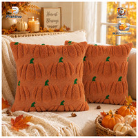 Kissenbezug 40X40Cm Herbstdeko KüRbis Pelz Caramel FüR Sofa Schlafzimmer