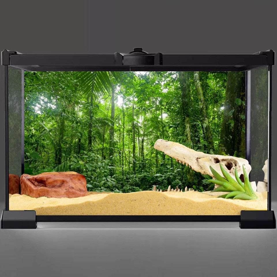 Fondo de terrario 48X18 pulgadas fondo de acuario tropical verde enorme árbol R Foto 4 de 4