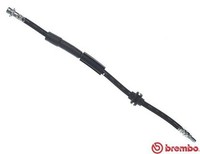 Brembo Bremsschlauch T 24 150 FüR Ford Focus 3 Turnier Ecoboost Tdci Econetic