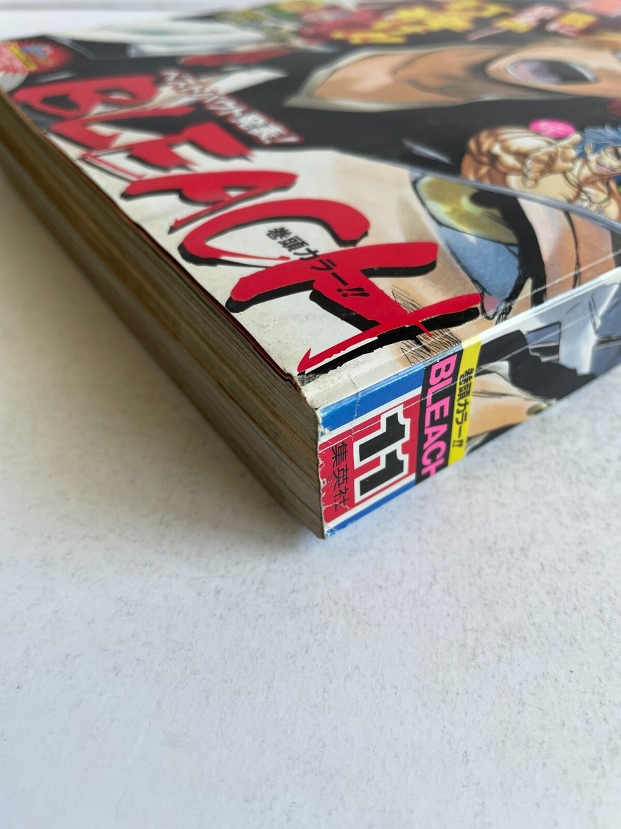 Weekly Shonen Jump 2010 No. 11 One Piece Eiichiro Oda Portgas D