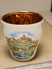 1800's Viennese Porcelain Porzellan Kunst Wien Atelier Hassenpflug Cup JBTr44