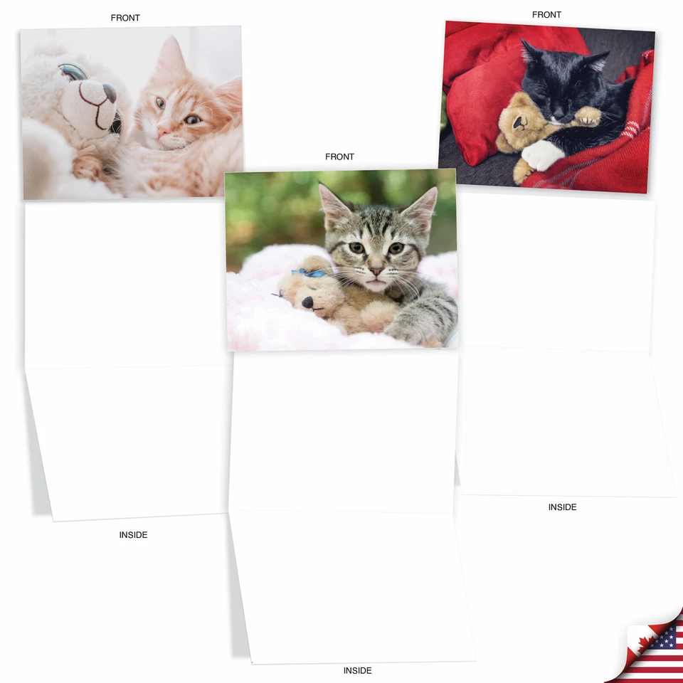 20 пустых карточек 4x5,12 дюйма с конвертами (10 дизайнов, по 2) Teddy Cat - Изображение 4 из 4