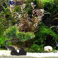 Piante Finte Acquario Decorazioni Per Decorazione Del Paesaggio Serbatoio Pesce