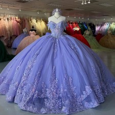 Quinceanera Dresses Sweet 16 Dress Applique Lace Bow Beading Tull Prom Ball Gown