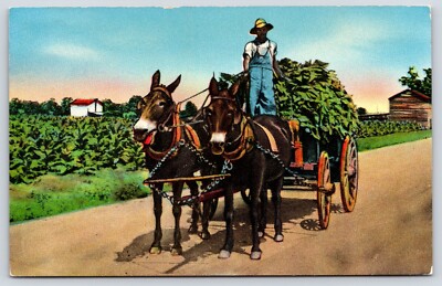 Post Card Tobacco Road A Scene Down South New Port Richey Florida