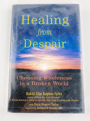 Healing from Despair Self-Help Hardcover Book by Rabbi Elie Kaplan Spitz