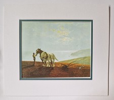 COULSON The Ploughman (1991 Shire Horse Book Plate Reproduction)