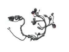 2022 - 2024 Royal Enfield Classic 350 Main Wire Harness OEM