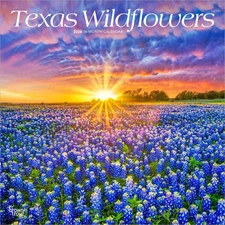 BrownTrout,  Texas Wildflowers 2026 Wall Calendar, 12'' X 12'', 16-Month Calenda