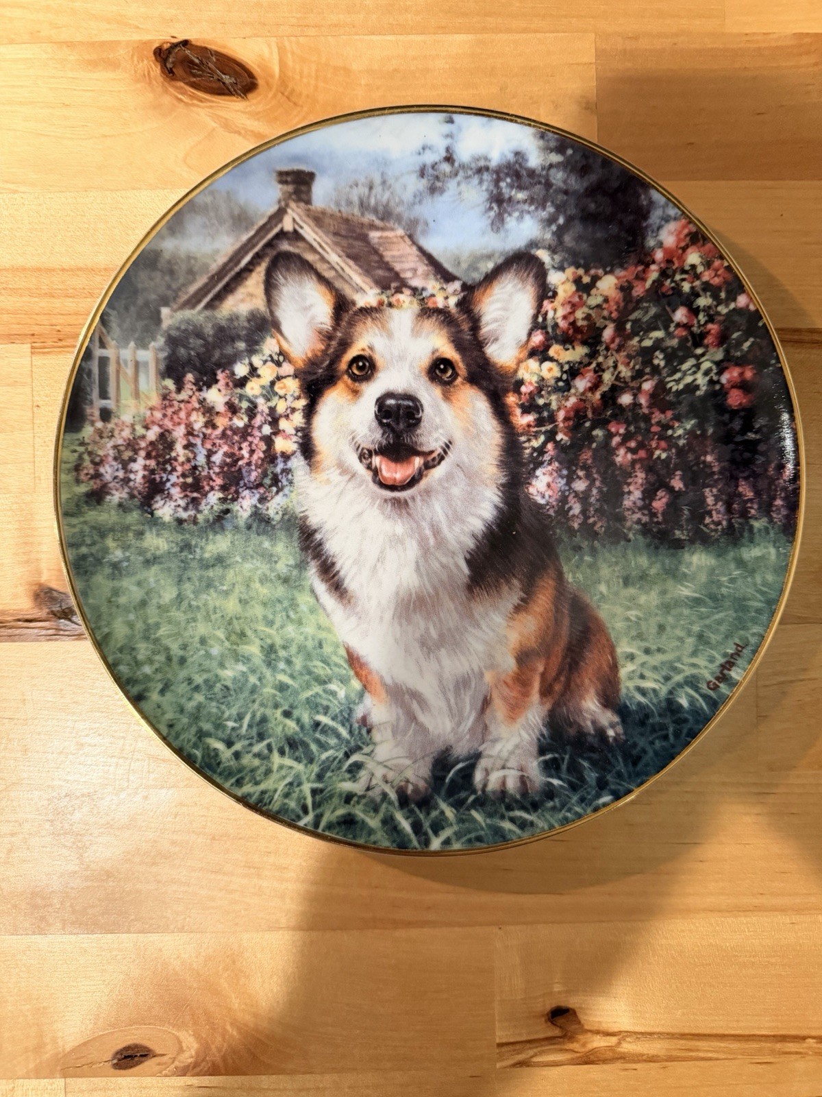 Eager To Play Pembroke Welsh Corgi Decorative Plate Danbury Mint by Rick Garland