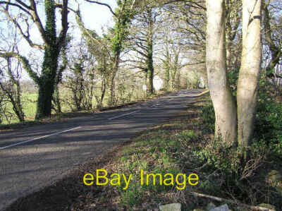 Foto 6x4 Beerhill Townland Derrykeighan Eine schöne von Bäumen gesäumte Landstraße c2006