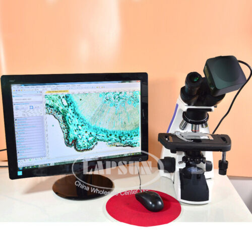 Videocamera microscopio biologico 20 MP/18MP 1" Sony IMX183 USB3.0 obiettivo 0,5X CTV - Foto 4 di 12