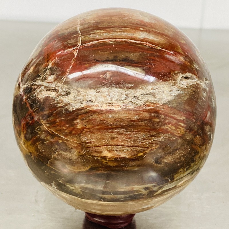 Natural Petrified Wood Polished Stone Quartz Crystal Sphere Ball Healing 2080G