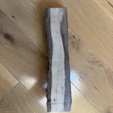 Live Edge English Walnut Blank. L-13  X W-3  X 1/2  -2  