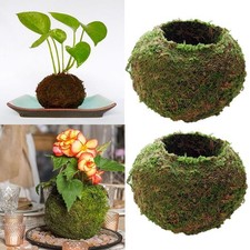 2x 12cm Japanese Moss Ball Bonsai Plants Flower Pot Bonsai Holder