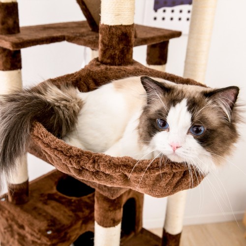 Multi-size Extra Large Cat Tree Cat Tower Condo Activity Center Kitty Supplies - Picture 52 of 67