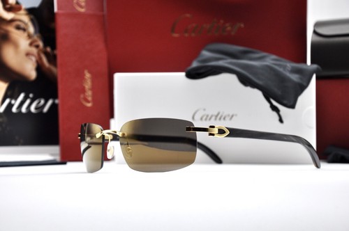 Occhiali Cartier C Decor Horn Rimless Frame CT0046S Sunglasses Glasses New  Brill | eBay