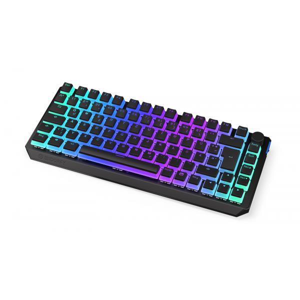 3161865 ENDORFY ENDORFY Thock 75% tastiera Wireless a RF + USB QWERTZ Tedesco Ne