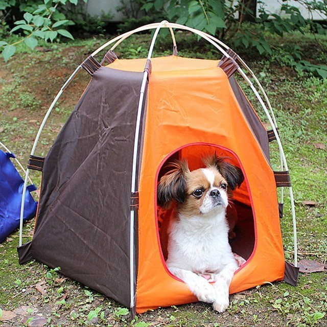 indoor dog tent