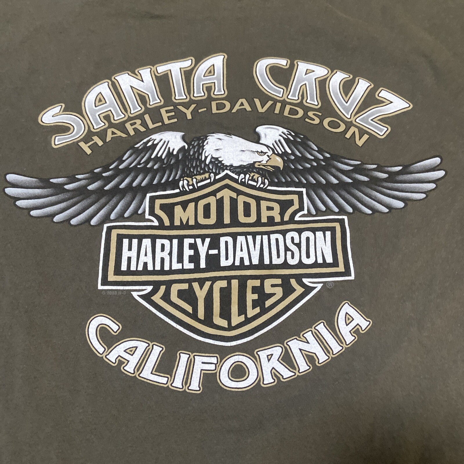 Harley Davidson Motorcycles T-Shirt Od Green Men&rsquo;s XL Santa Cruz Biker Ace