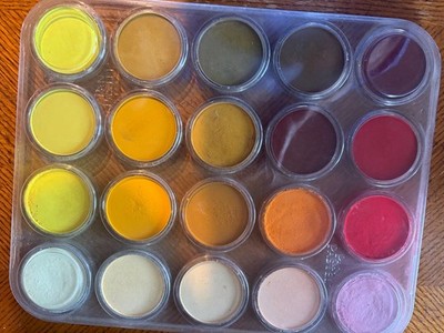 PanPastel Artists' Pastels Multicolor New & Used 20 Each