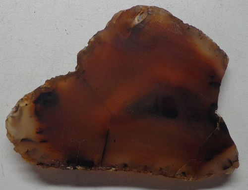 WRG- Montana Agate Slab 34 grams Lapidary Old Stock - Picture 4 of 6