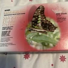 ILFORD Galerie Fine Art Smooth Pearl Photo Paper 250 gsm 4"x6" 115 Sheets