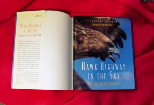 Hawk Highway in the Sky : Watching Raptor Migration by Caroline Arnold (1997,... - Picture 4 of 5