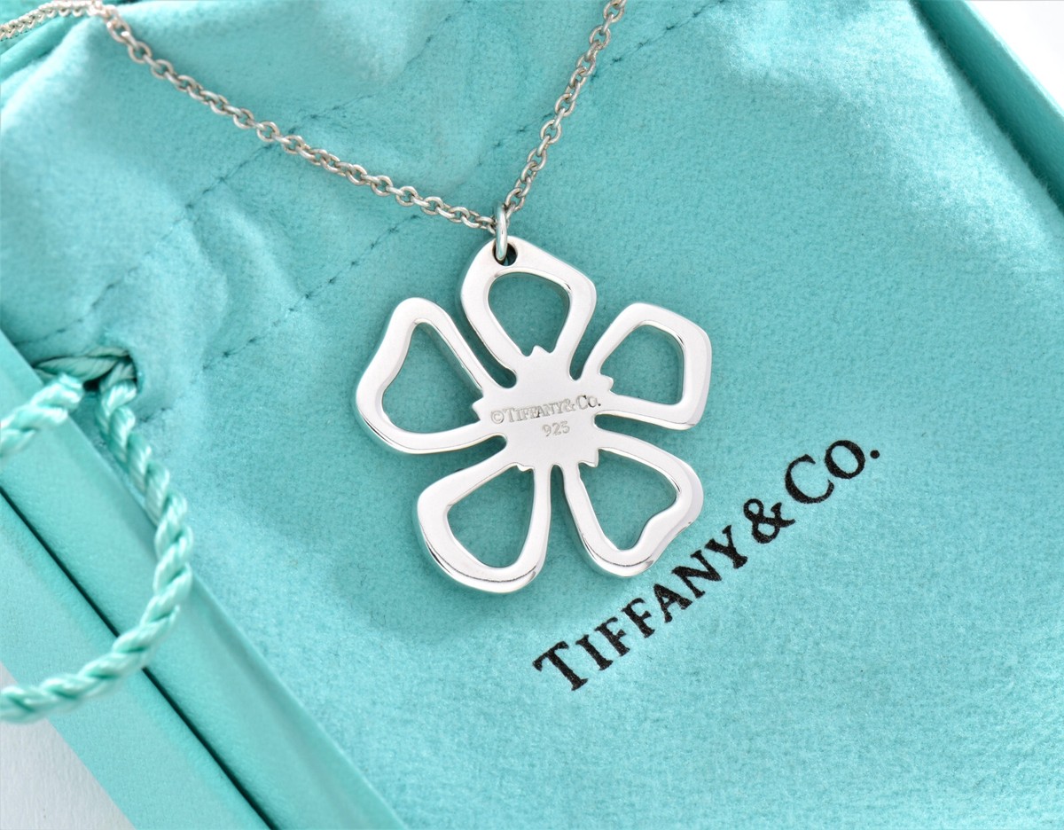 Tiffany & Co. ハーモニカ 専用ケース付き Amazon.co.jp: COLORFUL CANDY STYLE 鍵盤ハーモニカケース