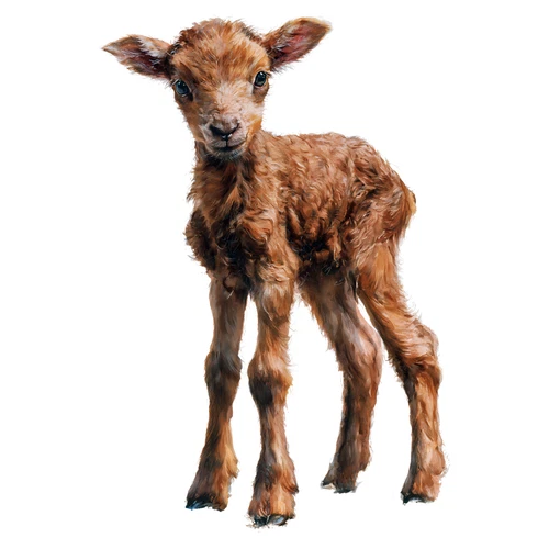 Sheep Lamb Ram Self Adhesive Vinyl Sticker