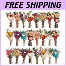 24-Pc Mini Dried Flower Bouquet Set