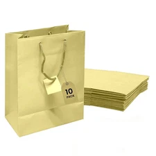 Novel Box Ivory Gift Bags with Handles 10 Pack 4.75x3.25x6.75 Inches Small Paper