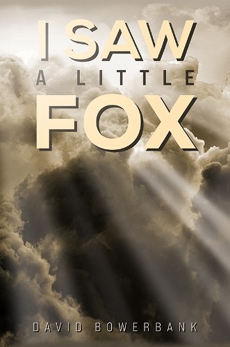 I Saw a Little Fox by David Bowerbank - 9781035851621
