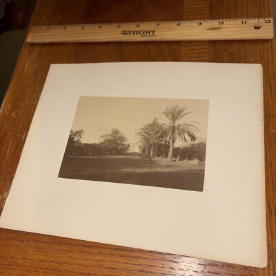 Vintage Athens King s Palace from Royal Garden Mounted Greek Architecture Photo