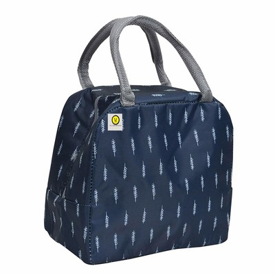 tiffin bag for office