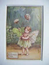 White Clover Fairy Vintage Flower Fairies Print & Mount Cicely Barker c1930's