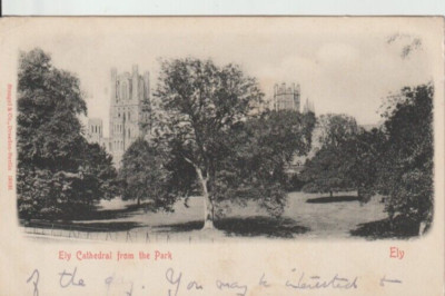 ELY, CAMBRIDGESHIRE - KATHEDRALE VOM PARK AUS GESEHEN FRÜHE S/W POSTKARTE (1903)