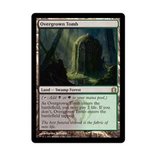 WotC MtG Return to Ravnica Overgrown Tomb (R) EX