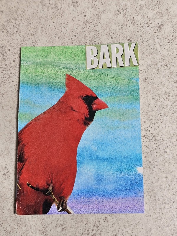 ACEO TheArtofKatie Collage Bird Watercolor Junk Journal Abstract Art 2.5x3.5"
