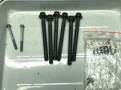 BMW F800S Zylinderkopf Schrauben Cylinder Head Bolts (5) 07'