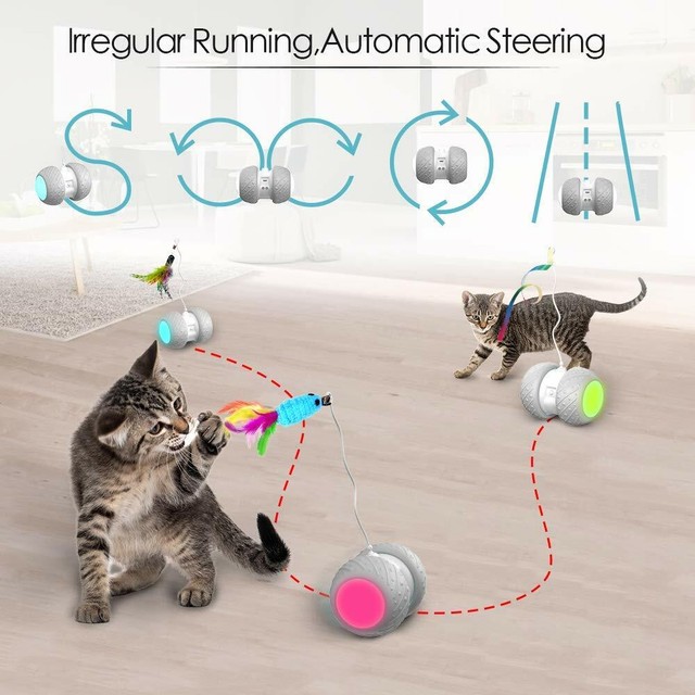 Cat Toys Interactive, Cat Toys for Indoor with Feather, Ball,Mouse and 2 Color | eBay
