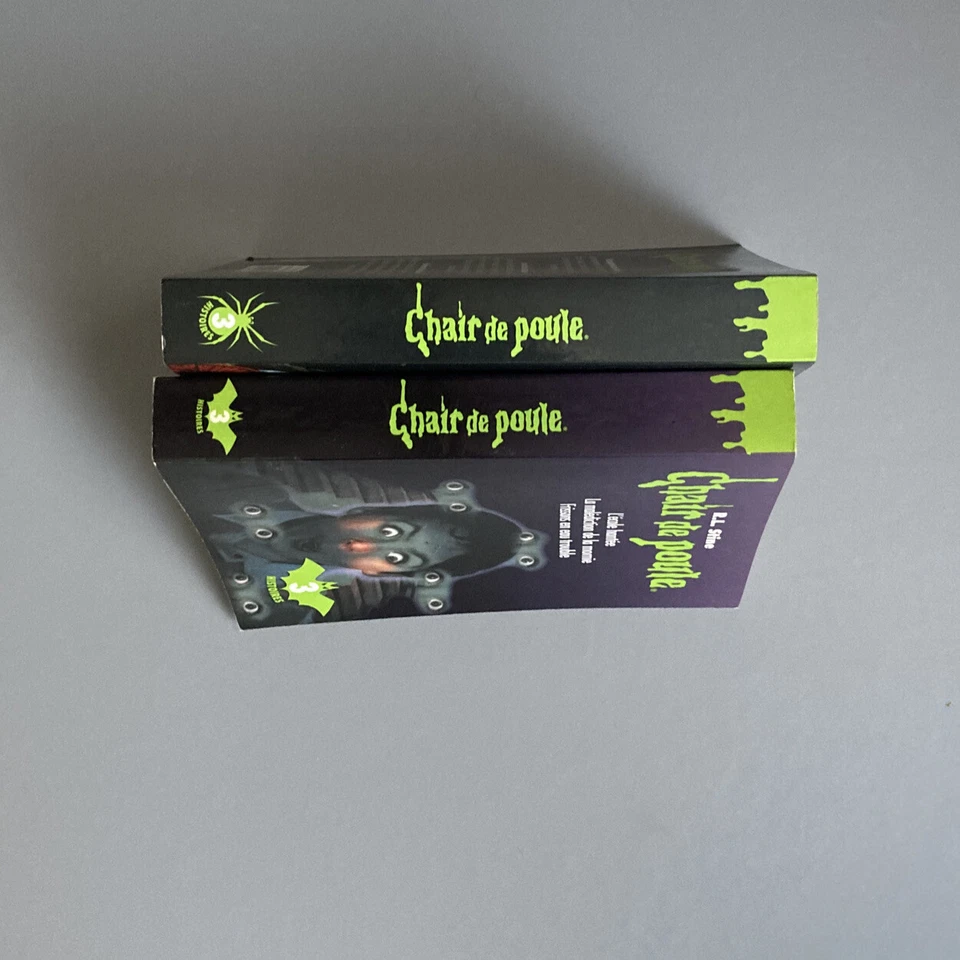 R. L. Stine / Chair De Poule (6 Histoires) - Photo 3/4
